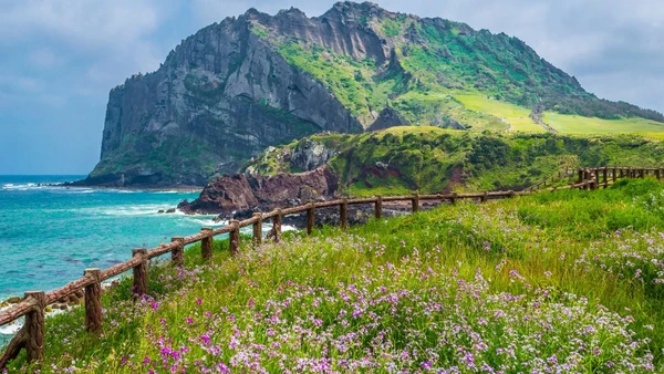 Magazine Jeju Island Special Edition
