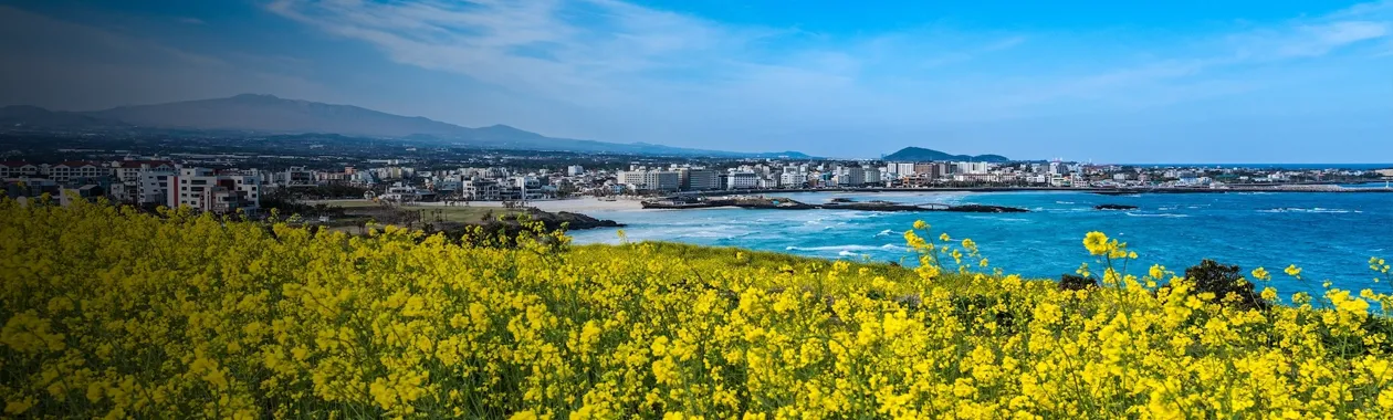 济州岛