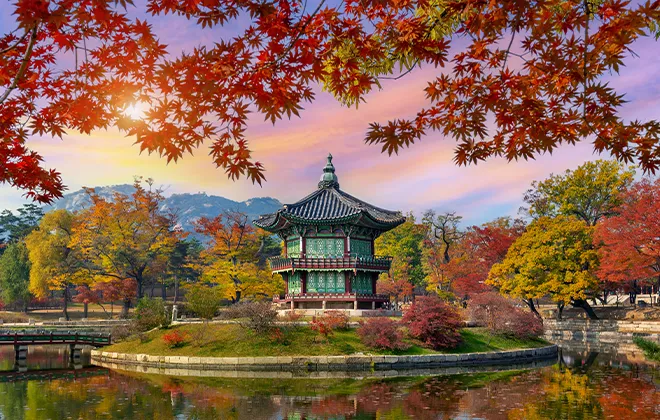 韩国体验之旅 <br> 3晚以上