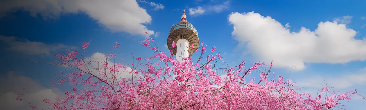 N首尔塔