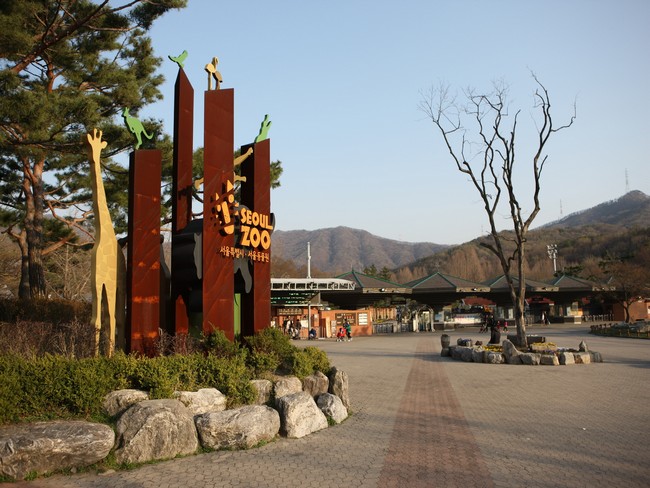 1-day trip to Gyeonggi-do (Gwacheon Seoulland + Yongin Folk Village)
