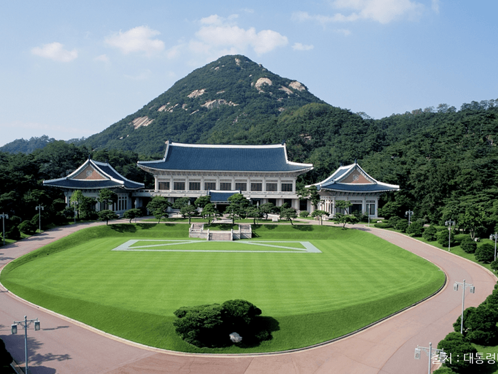1-Day Seoul Tour for Foreigners - Blue House, Jogyesa Temple, N Seoul Tower, etc.