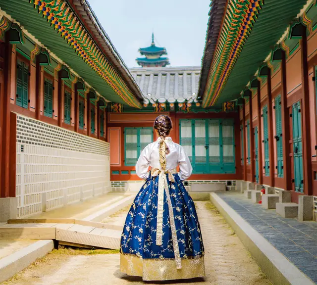 Gyeongbokgung Palace, Bukchon, Naksan & Gwangjang Market Day Tour