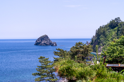 [Pohang Yeongil Bay Port/Dokdo Included] Ulleungdo 3-Day #1NightCruise #1NightOnUlleungdo #HotelQuality #OverlandTour (Course A) #Yelimwon