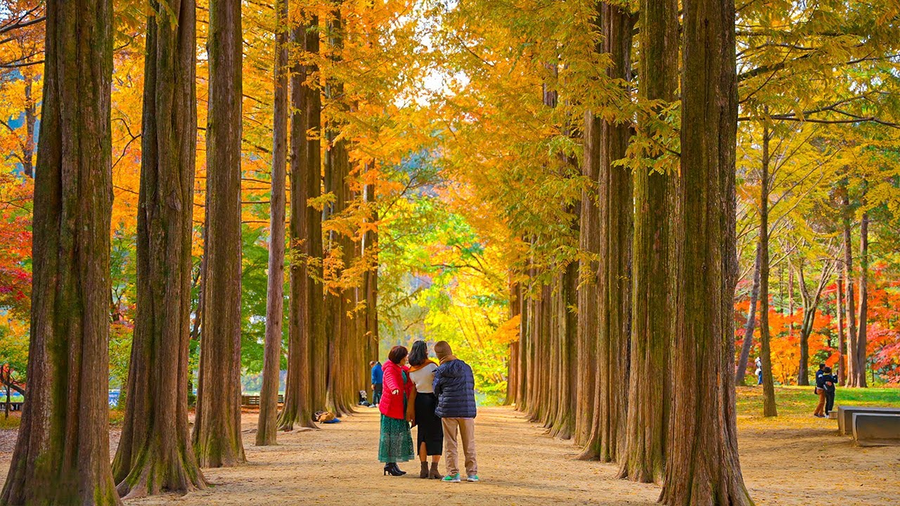 Korea Signature 5D4N Tour – Seoul · Nami Island · Mt. Seorak · Lotte World (No Shopping / No Option / No Tip)