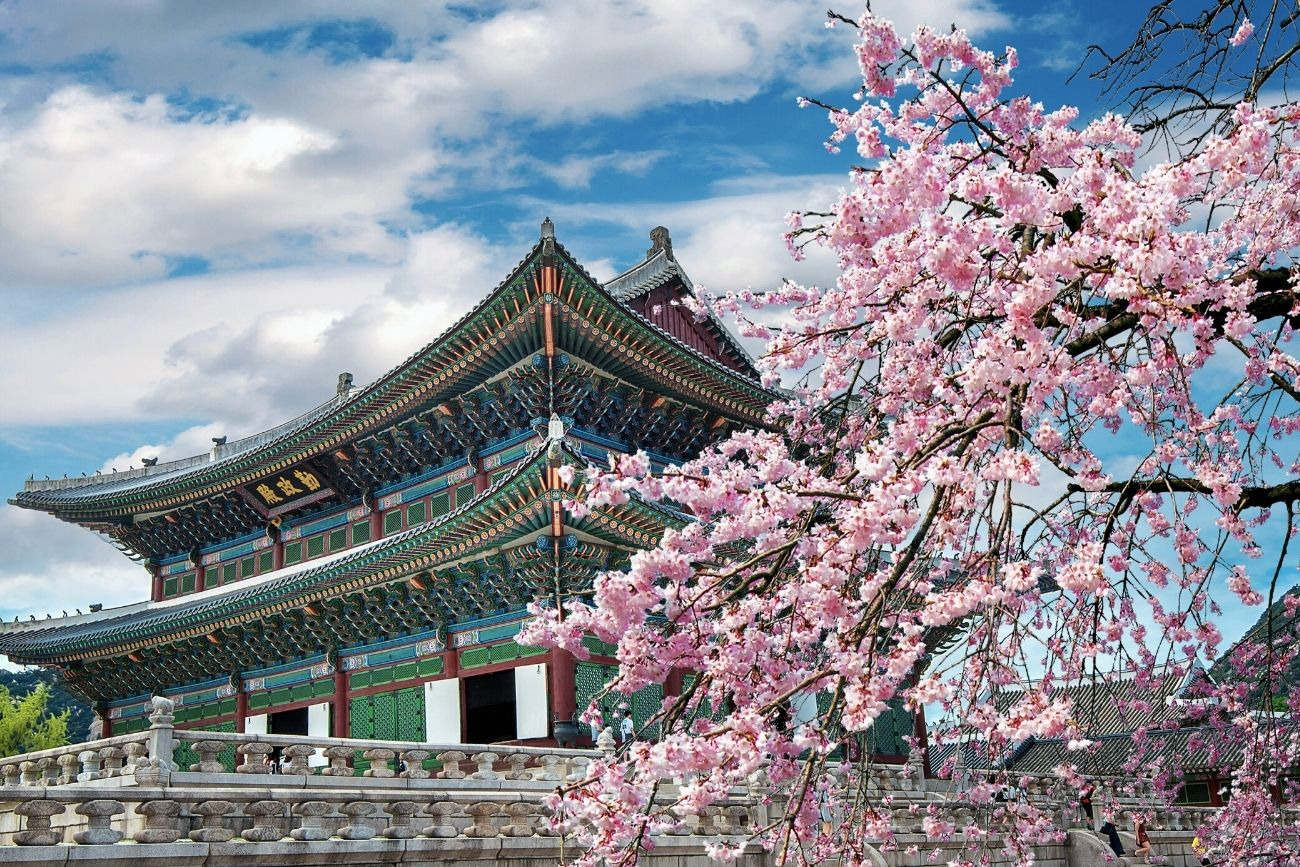 At the heart of the Korean Wave (K-pop dance + K-Star Road experience 1-day trip)