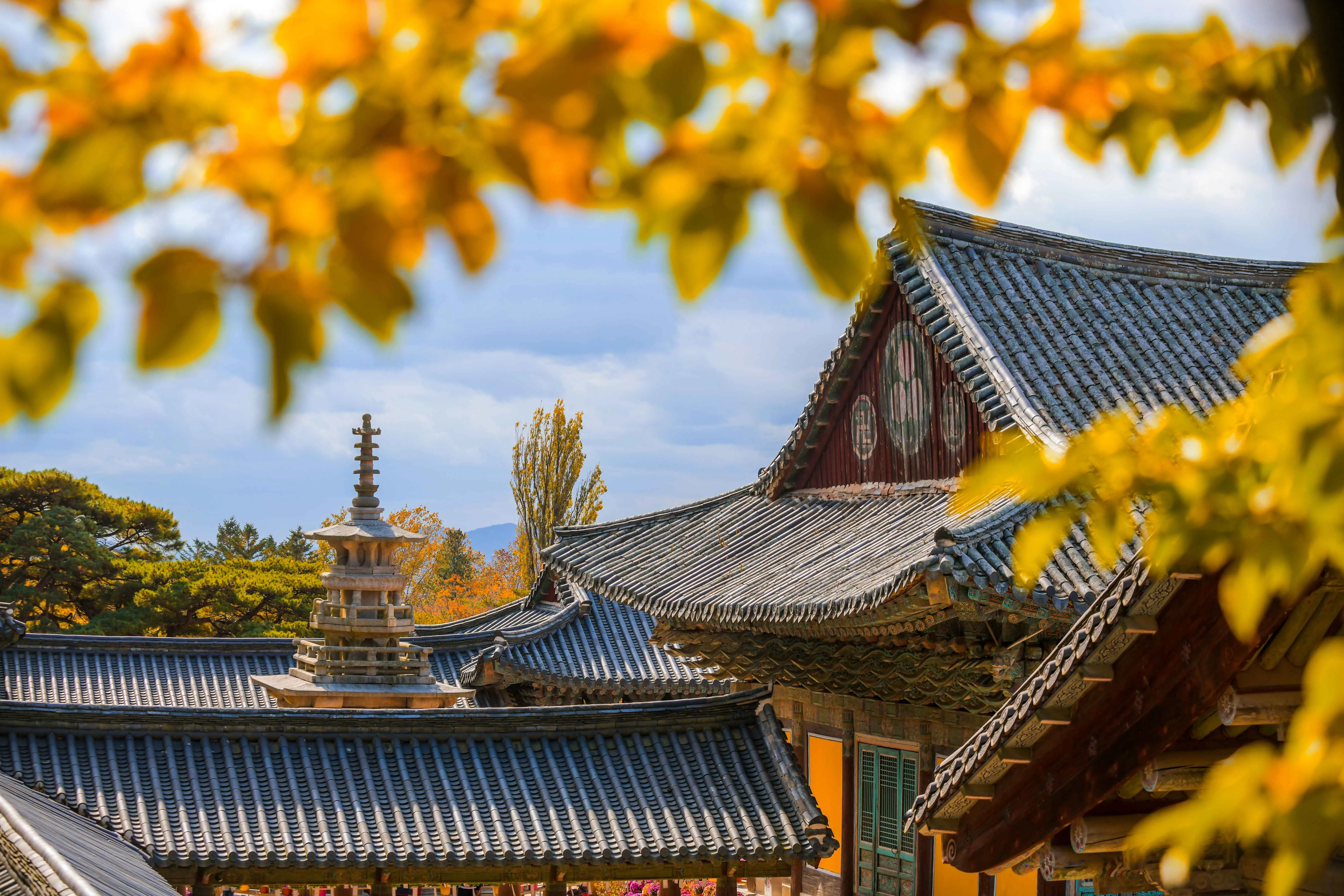 Gyeongsang Province 3-Day Tour (Mungyeong · Gyeongju · Pohang) – Departure from Seoul