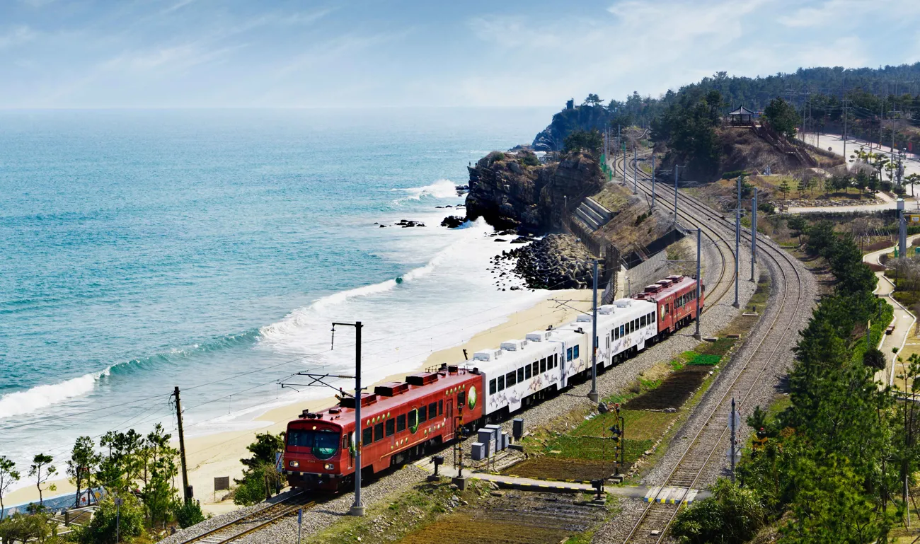Gangwon-do Eastern Region 3-Day Tour (Gangneung · Sokcho · Samcheok) – Departing from Seoul