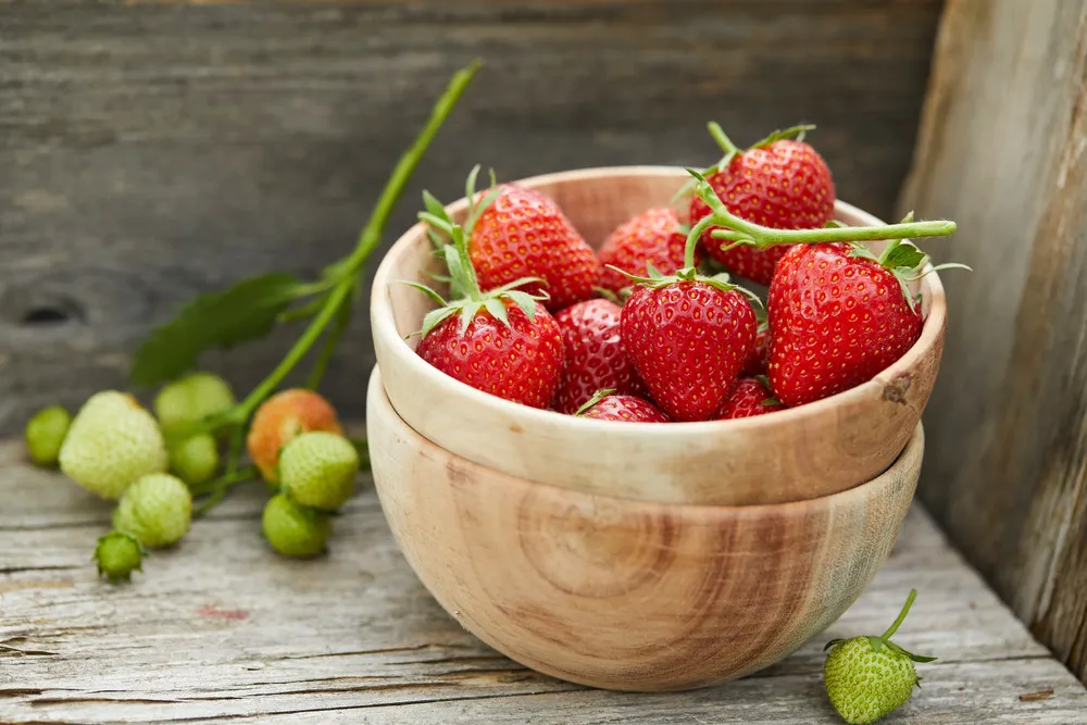 [Seoul Tour] Strawberry Farm & Eobi Valley & Nami Island or Elysian Gangchon Sledding (One-Day Tour)