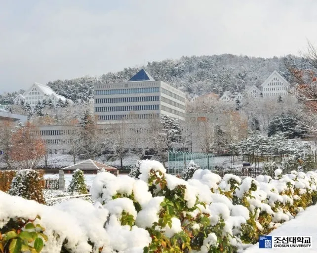 Chosun University