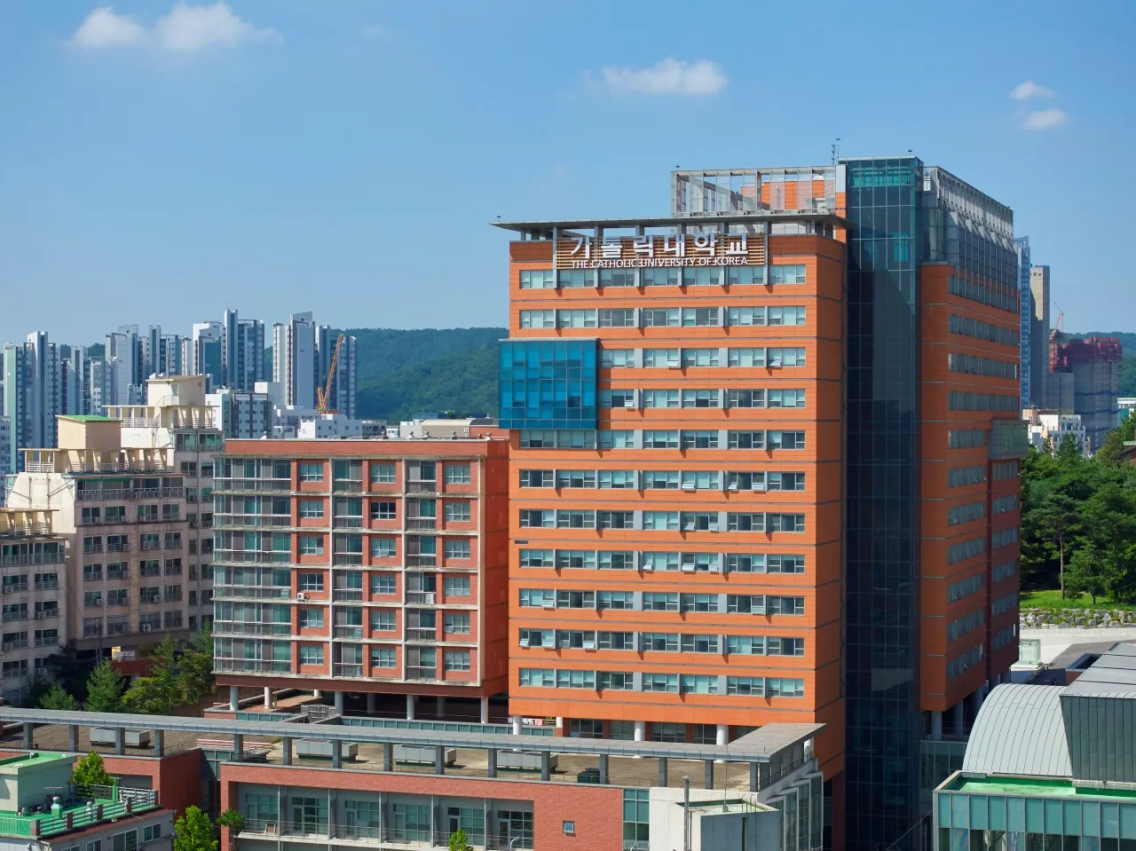 韩国天主教大学