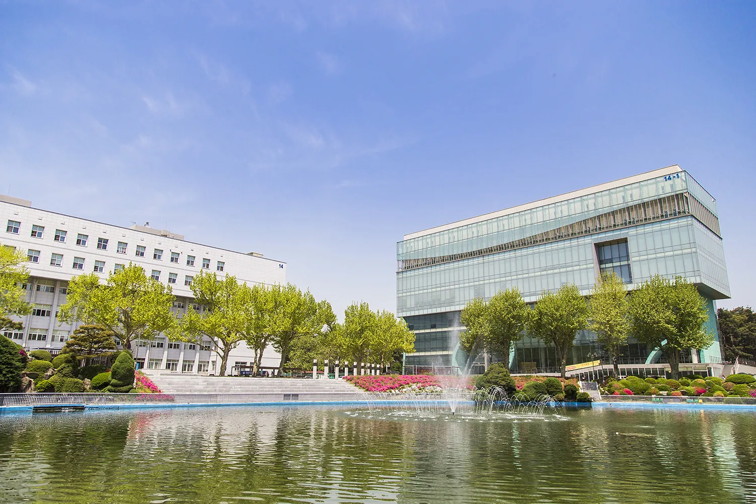 元光大学
