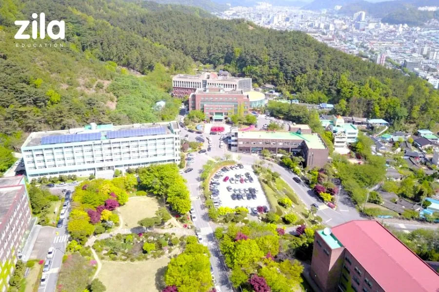 顺天第一学院