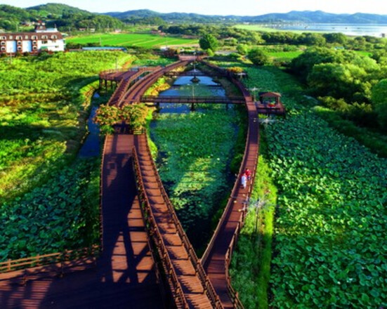 外国人首尔/忠清（2天1夜）- 液塘湖雕塑公园，鳄湾御亭公园，液塘湖日落观赏，景福宫，明洞