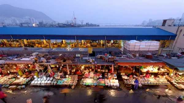 Jagalchi Fish Market – Korea’s Largest Seafood Market - 釜山 Things to do