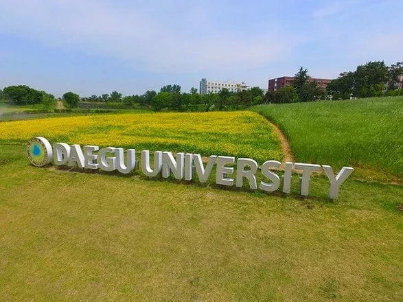 Daegu University