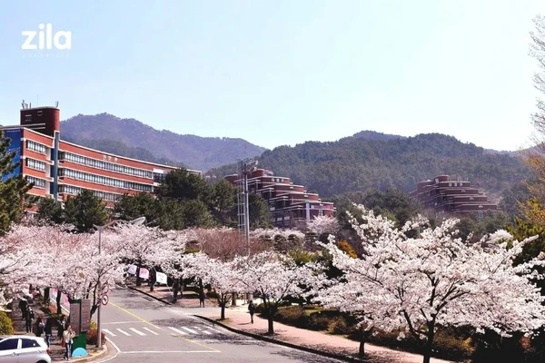 Silla University