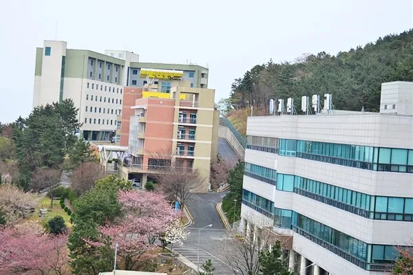 Kosin University