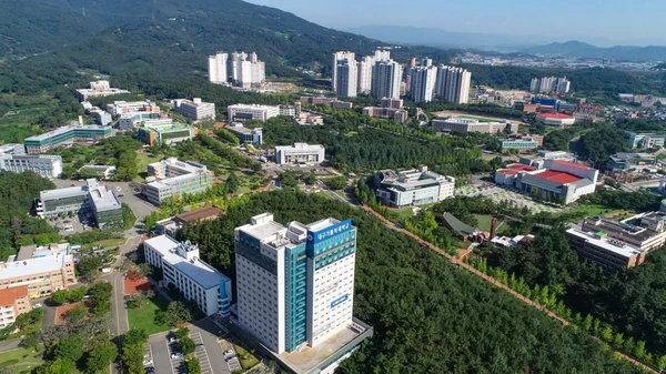 Daegu Catholic University (DCU)