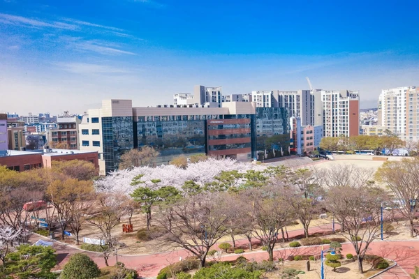 Yeungjin University