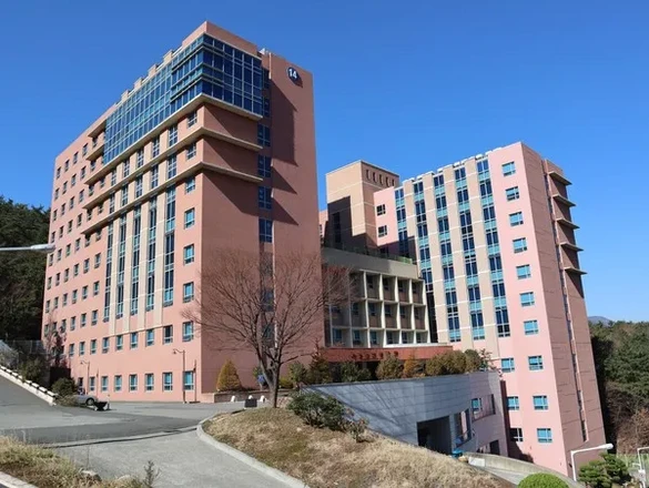 Dong-Eui University
