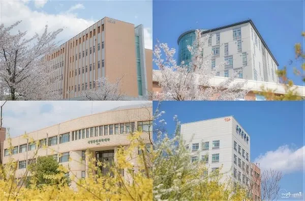 Kangwon National University