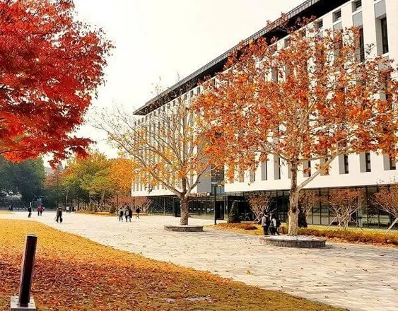 Chungbuk National University