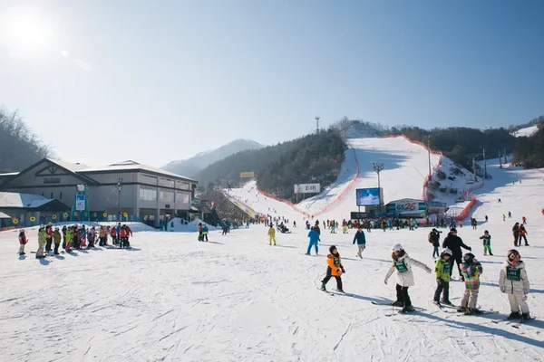 Korea Influencer 4D 3N Tour – Seoul 2 Nights & Nami Island + Ski Resort 1 Night (Ski Lesson & Rental Included) (No Shopping / No Option / No Tip)