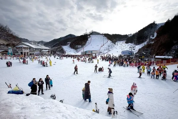Korea Influencer 4D 3N Tour – Seoul 2 Nights & Nami Island + Ski Resort 1 Night (Ski Lesson & Rental Included) (No Shopping / No Option / No Tip)