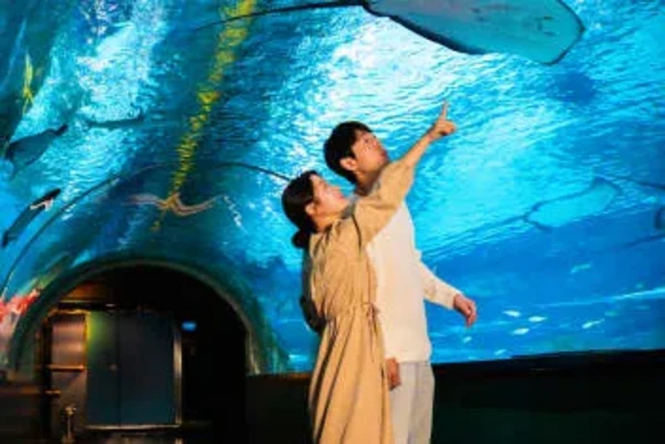 COEX海洋世界，首尔水族馆官方门票 - Thumbnail