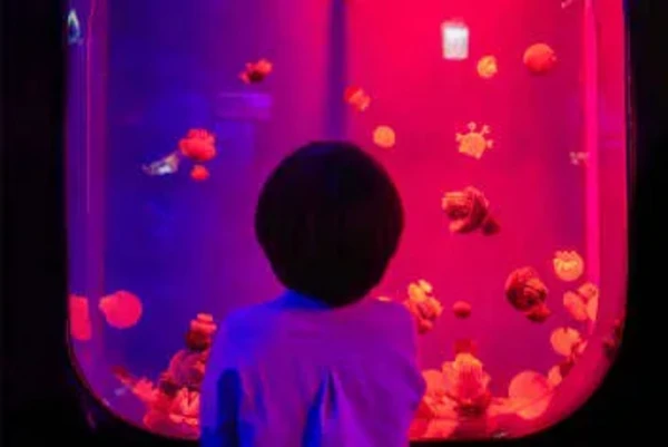 COEX海洋世界，首尔水族馆官方门票