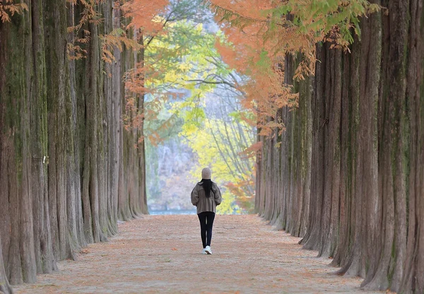 基于4人或2人 | 早晨抵达 | 韩国美容皮肤护理+南怡岛一日游&首尔休闲（4晚/5天）