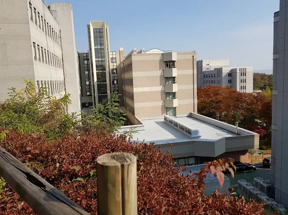 Korea University Sejong Campus