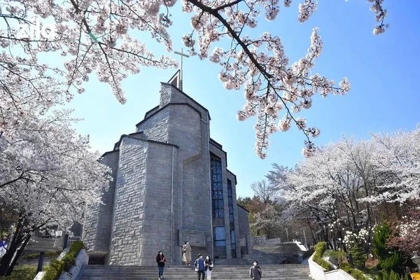 Hanshin University