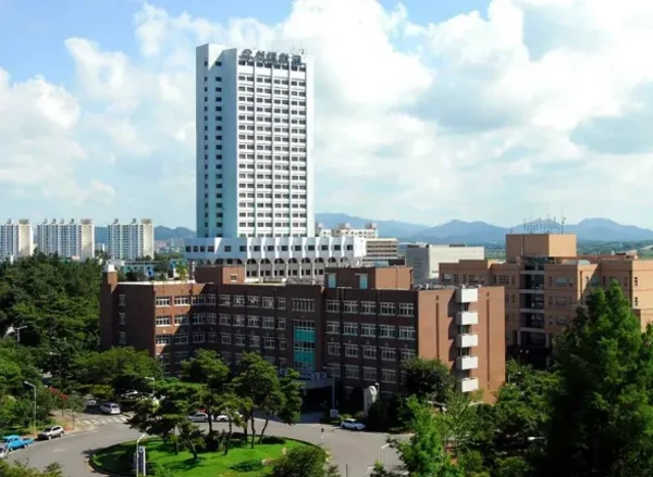 Woosuk University