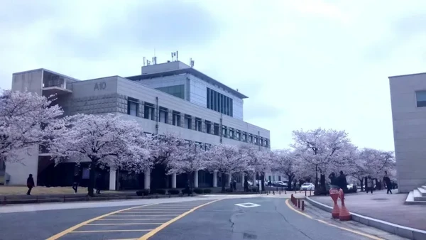 Mokpo National University