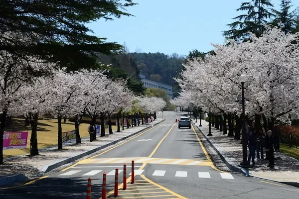 Chosun University
