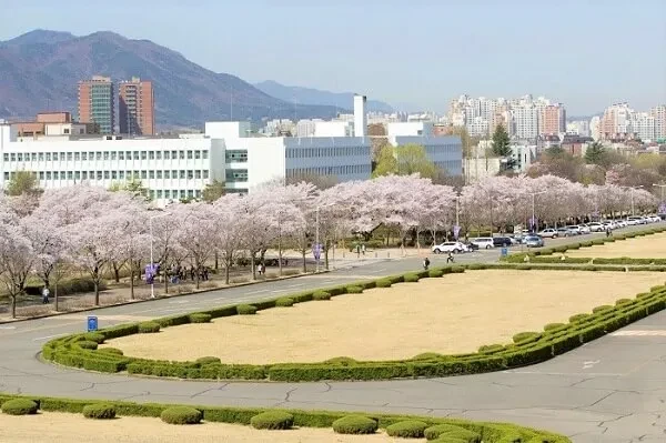 Yeungnam University
