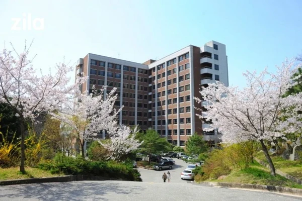 Honam University