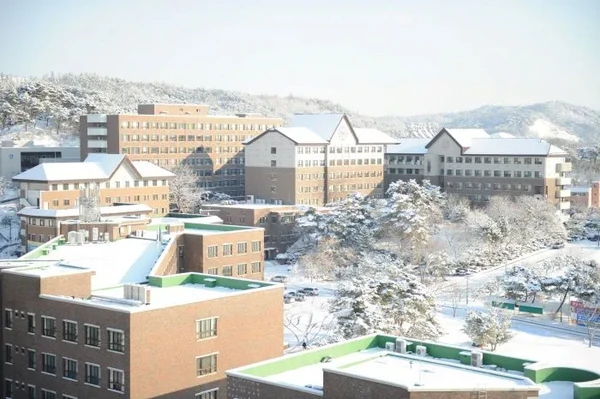 Honam University