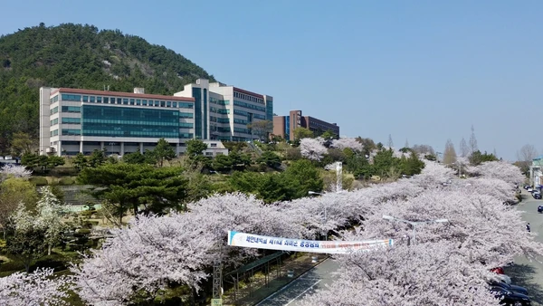 Sehan University
