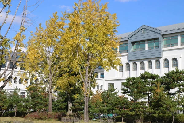 Nambu University