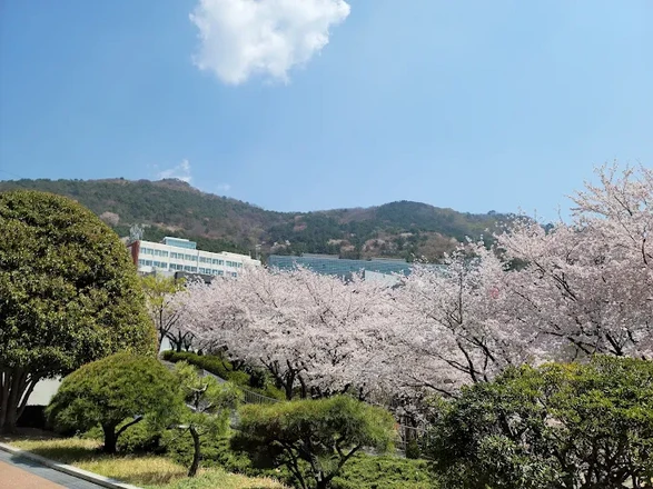 Dong-A University