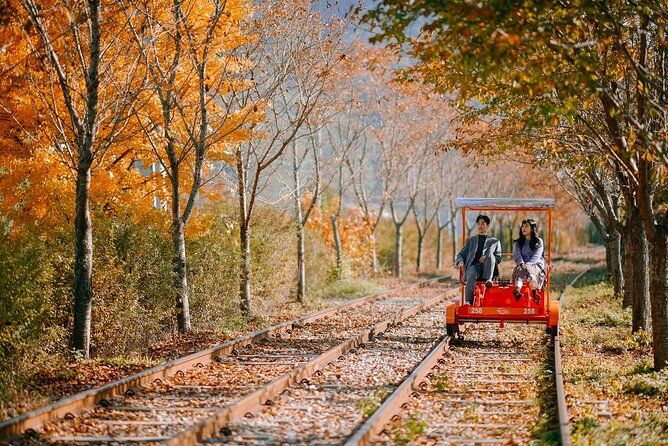 Korea Influencer 4D 3N Tour – Seoul 2 Nights & Nami Island + Ski Resort 1 Night (Ski Lesson & Rental Included) (No Shopping / No Option / No Tip)