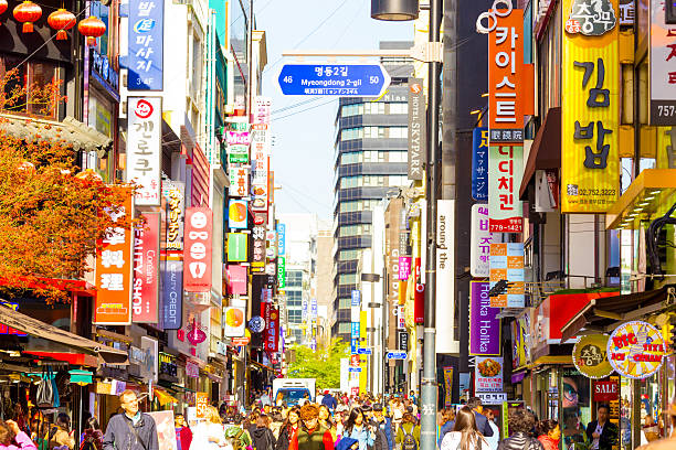 Korea Influencer 4D 3N Tour – Seoul 2 Nights & Nami Island + Ski Resort 1 Night (Ski Lesson & Rental Included) (No Shopping / No Option / No Tip)