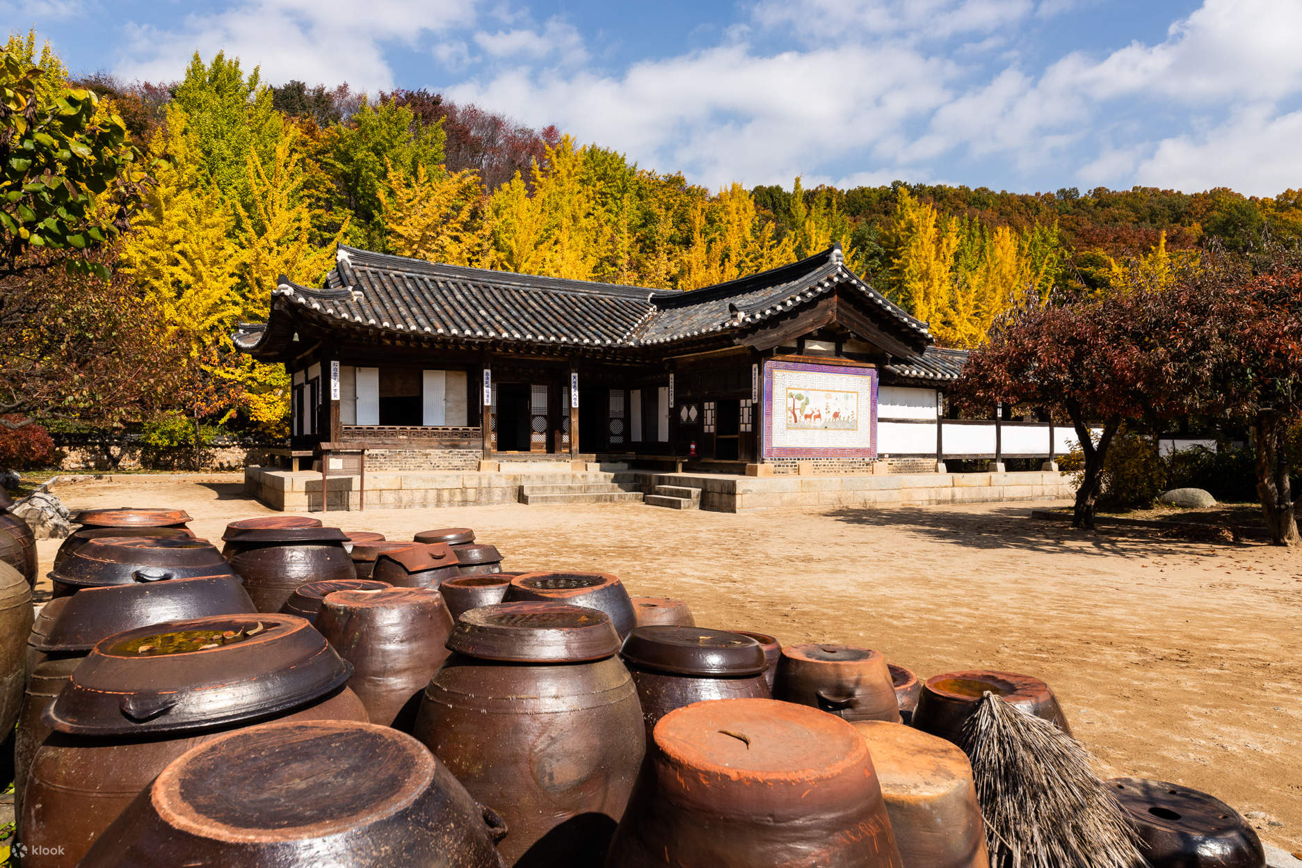 Korea Influencer 4D 3N Tour – Seoul 2 Nights & Nami Island + Ski Resort 1 Night (Ski Lesson & Rental Included) (No Shopping / No Option / No Tip)