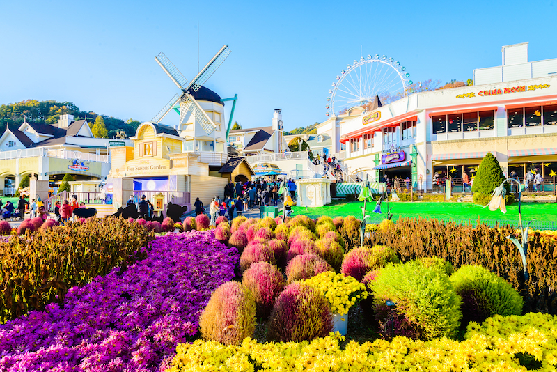 Korea Influencer 4D 3N Tour – Seoul 2 Nights & Nami Island + Ski Resort 1 Night (Ski Lesson & Rental Included) (No Shopping / No Option / No Tip)