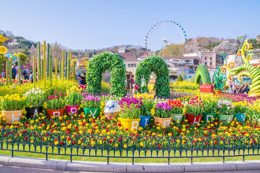 Korea Influencer 4D 3N Tour – Seoul 2 Nights & Nami Island + Ski Resort 1 Night (Ski Lesson & Rental Included) (No Shopping / No Option / No Tip)