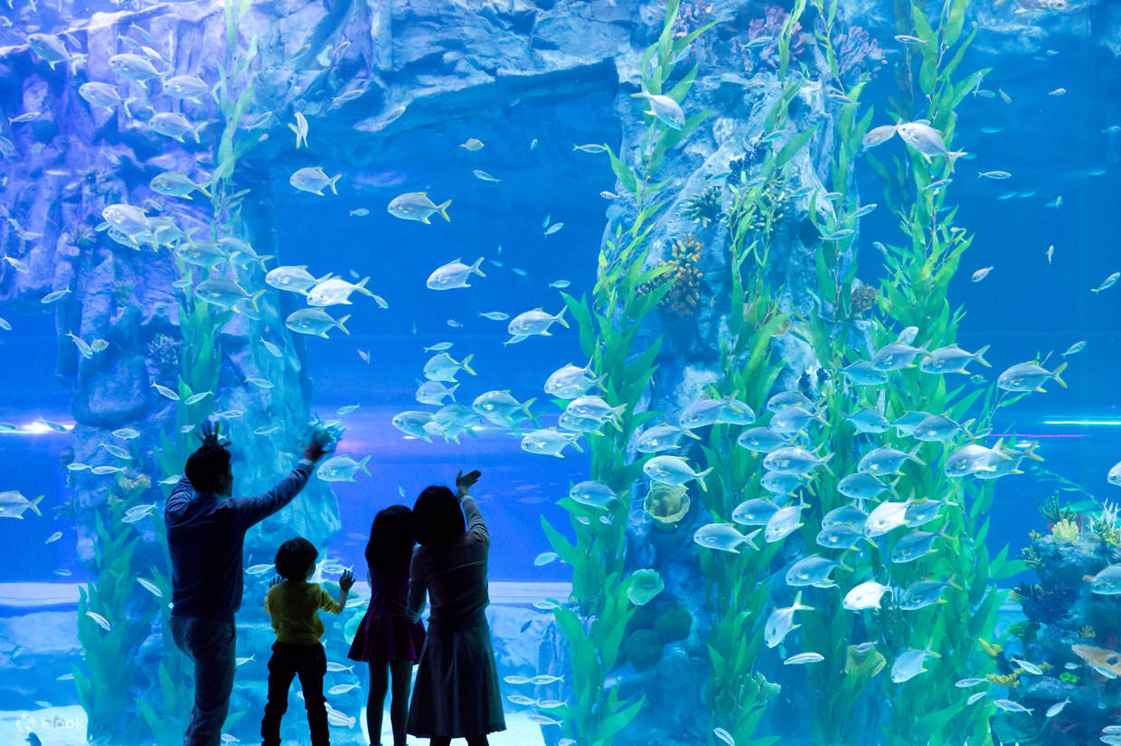 Seoul K-Culture & Beauty Discovery Package (3 Nights / 4 Days)